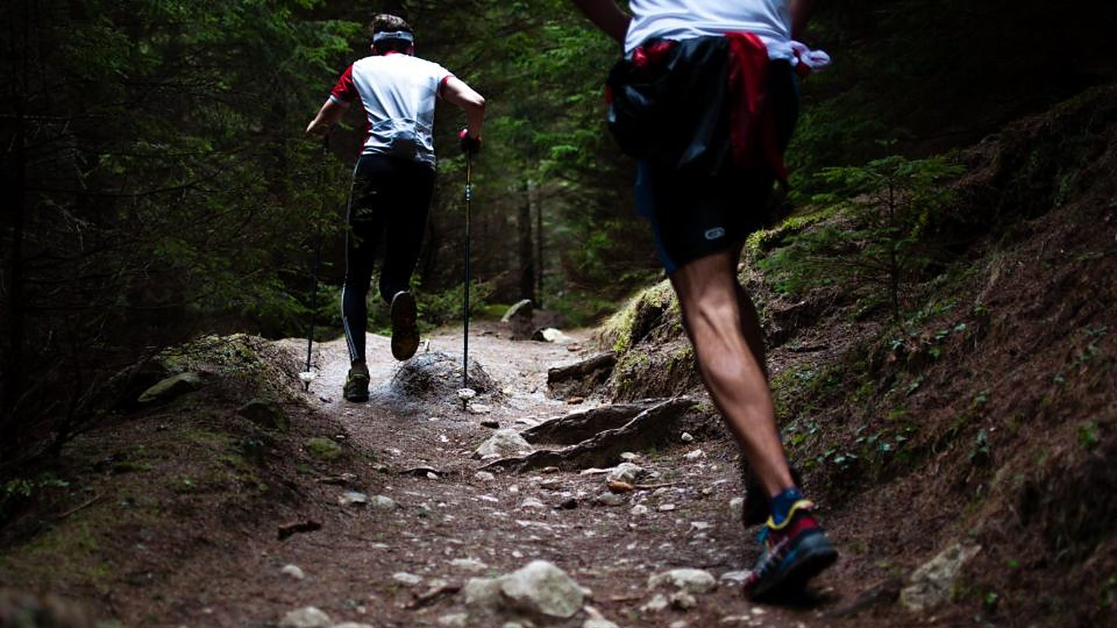 Entrenar